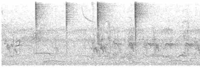Трав’янчик рудокрилий - ML613461836