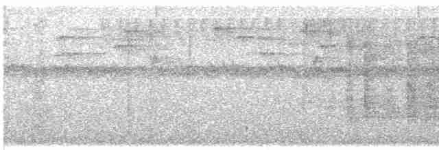 Сипуха темно-бура (підвид tenebricosa/arfaki) - ML613461922