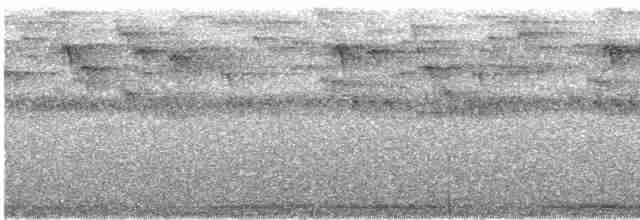 チャイロガマグチヨタカ（plumiferus） - ML613461973