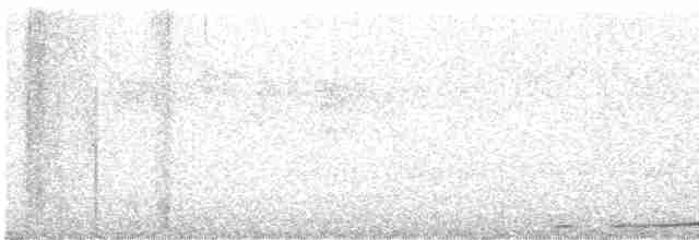 Brown Cuckoo-Dove - ML613471528