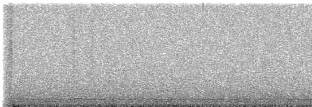 kalous ušatý - ML613472436