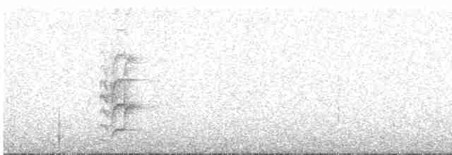 Karayip Çalı Sinekkapanı - ML613477543