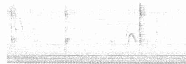 Сріблодзьоб чорногузий - ML613478838