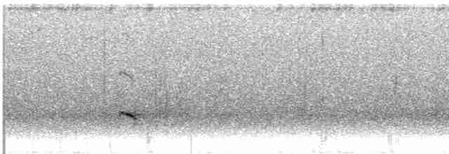 Élanion à queue blanche - ML613481953