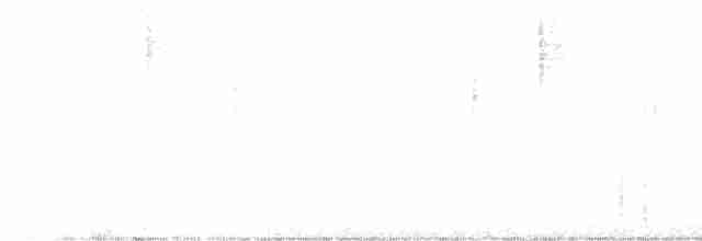 Boz Başlı Sinekkapan - ML613483075