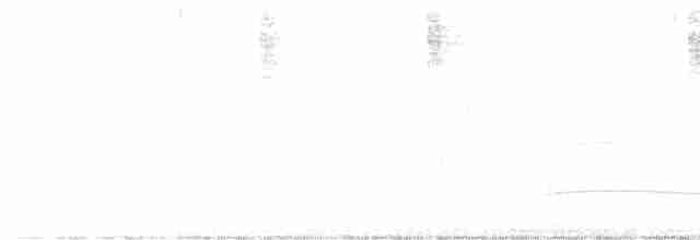 Boz Başlı Sinekkapan - ML613483076