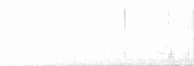 Oriole d'Audubon - ML613483090