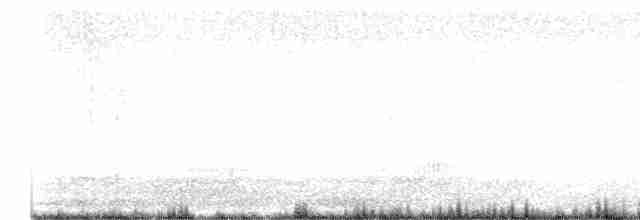 Tawny Grassbird - ML613485110
