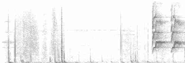 Chara Coroniazul - ML613490113