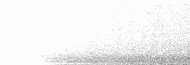 Колібрі рубіновогорлий - ML613490244
