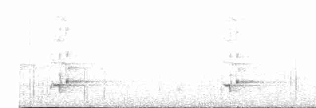 Синешапочный амазон - ML613491013