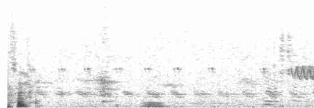 Kara Gagalı Guguk - ML613493138