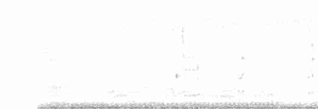 holub oranžovoprsý - ML613494310