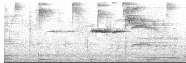 Bakır Belli Kolibri - ML613496371
