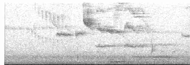 Bakır Belli Kolibri - ML613496372