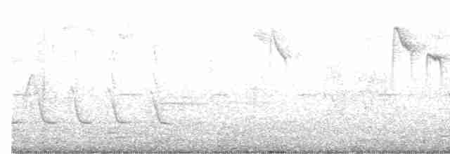 Cinereous Tit - ML613497812