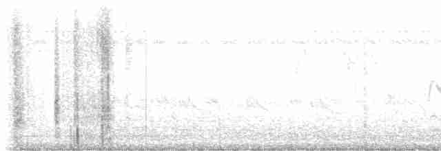 インドチャイロツバメ - ML613498590