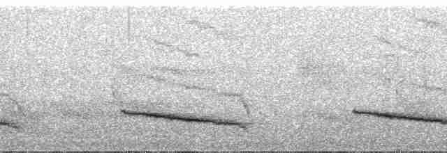 Tufted Antshrike - ML61350