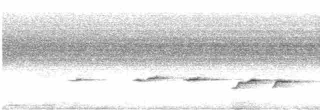 Серый свистун (simplex/brunnescens) - ML613500100