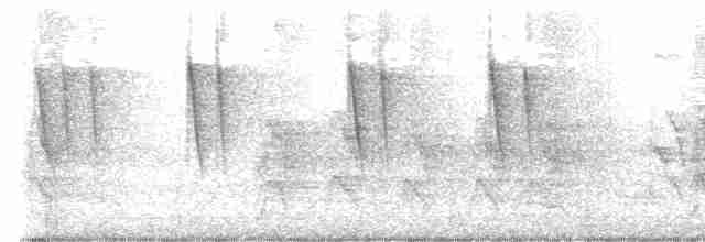 Gobemoustique à tête grise - ML613502166