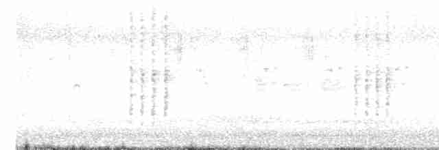 Clamorous Reed Warbler - ML613502467