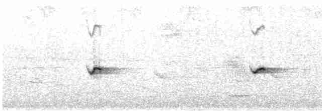 Yeni Zelanda Eğrelti Bülbülü - ML613503634