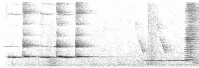 Méliphage carillonneur - ML613503886