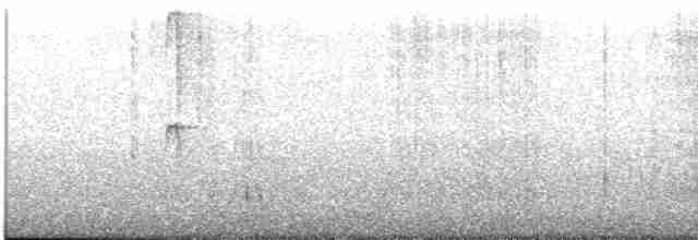 Исполинский колибри - ML613507047