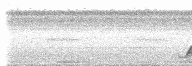 Pauraquenachtschwalbe - ML613508192