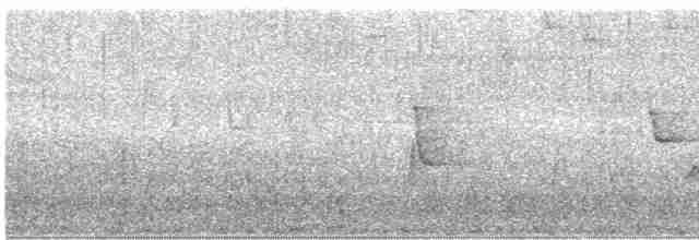 Riperyan Çıtkuşu - ML613510849