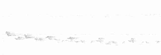 Einfarb-Bülbülgrasmücke - ML613511012