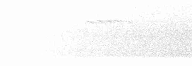 Соловьиная широкохвостка - ML613515204