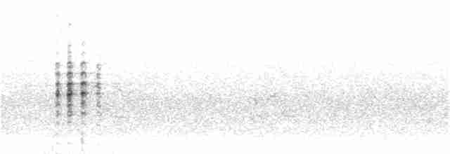 Australasian Grebe - ML61351591