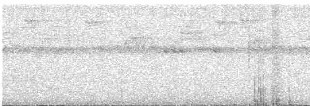 Сипуха темно-бура (підвид tenebricosa/arfaki) - ML613517979