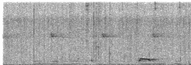 Carraca Terrestre Cabecirrufa - ML613520340