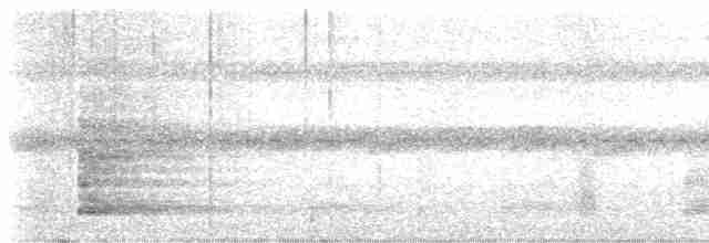 Sakallı Çankuşu - ML613520632