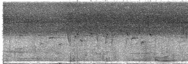 Ереса смугастогорла (підвид pallidior) - ML613520654