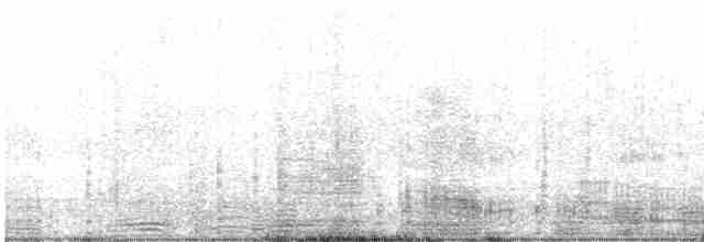 kormorán ušatý - ML613520697