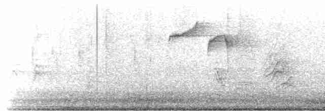 Ak Tepeli Baştankara - ML613524694