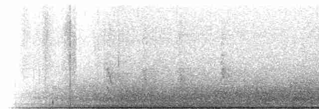 Каролинский дятел - ML613524705
