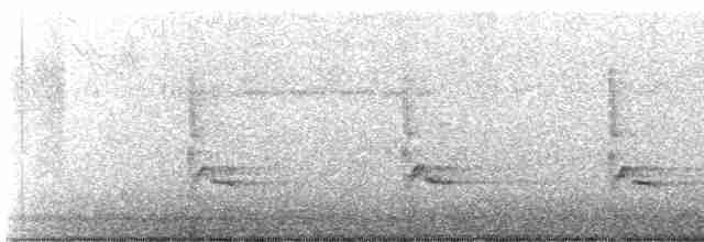 Каролинский крапивник - ML613524719