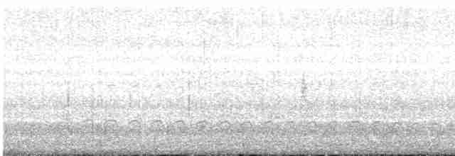 İberya Yeşil Ağaçkakanı - ML613524969