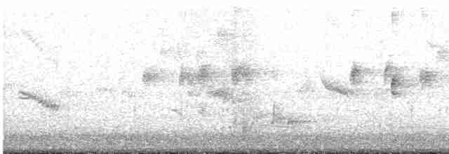 Kara Sığırcık - ML613526144
