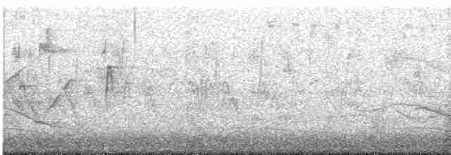 Баклан великий - ML613526152
