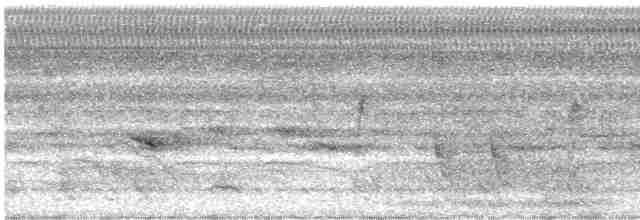 Açık Suratlı Çıtkuşu - ML613526303