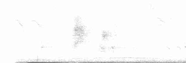 Расписная которра - ML613526370