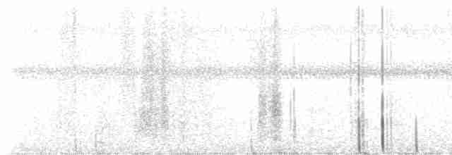 svartknoppkeiserdue - ML613526555