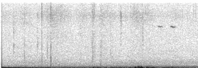 Канадская овсянка-барсучок - ML613526838
