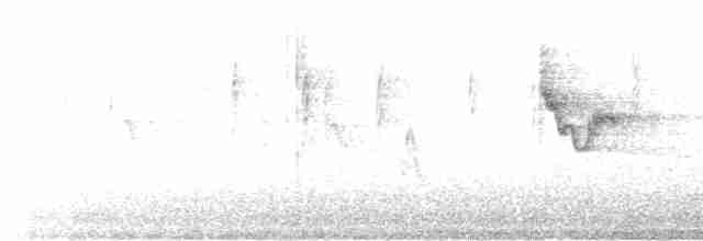 Swinhoe's White-eye - ML613527231