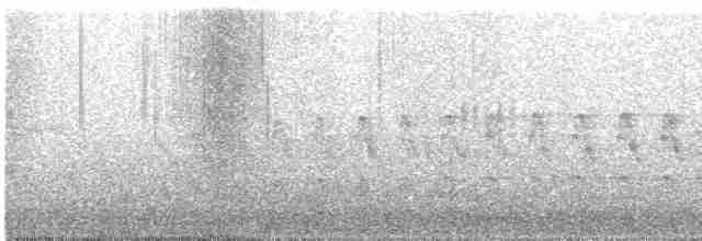 Eurasian Kestrel - ML613528754